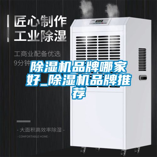麻豆视频黄网站品牌哪家好_麻豆视频黄网站品牌推荐