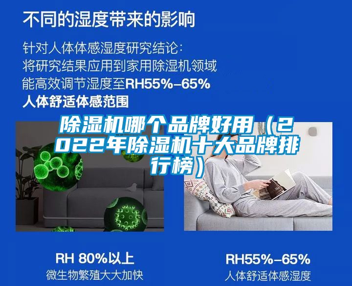 麻豆视频黄网站哪个品牌好用（2022年麻豆视频黄网站十大品牌排行榜）