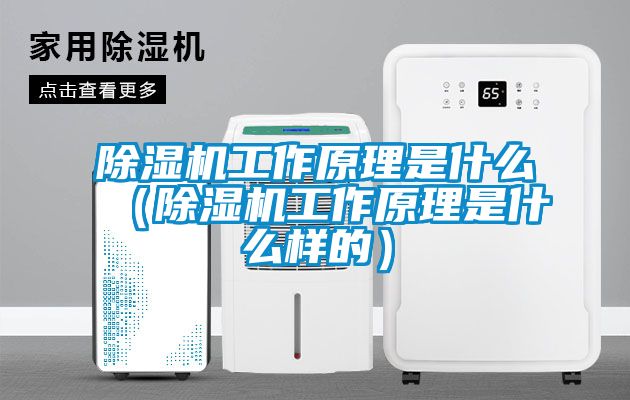 麻豆视频黄网站工作原理是什么（麻豆视频黄网站工作原理是什么样的）