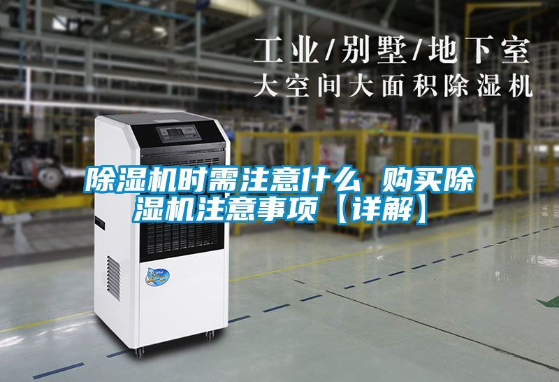麻豆视频黄网站时需注意什么 购买麻豆视频黄网站注意事项【详解】