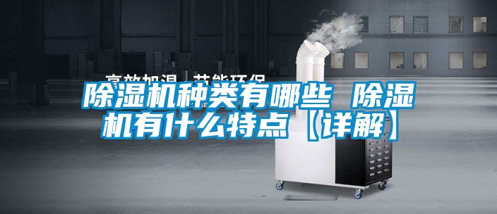 麻豆视频黄网站种类有哪些 麻豆视频黄网站有什么特点【详解】