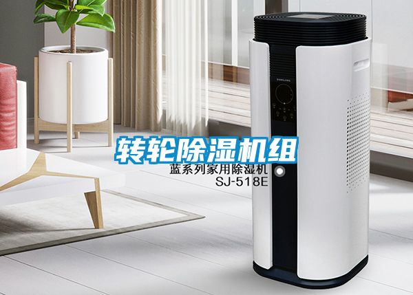 转轮麻豆视频黄网站组