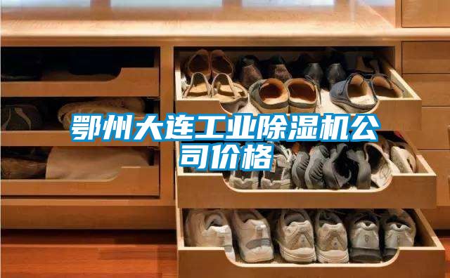鄂州大连工业麻豆视频黄网站公司价格