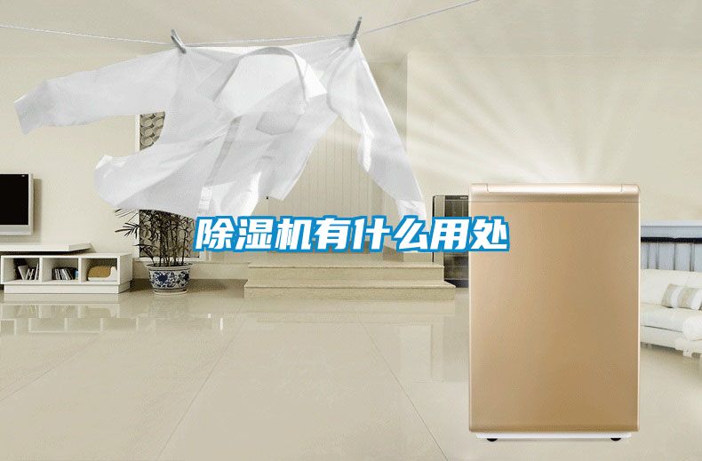 麻豆视频黄网站有什么用处