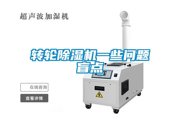 转轮麻豆视频黄网站一些问题盲点