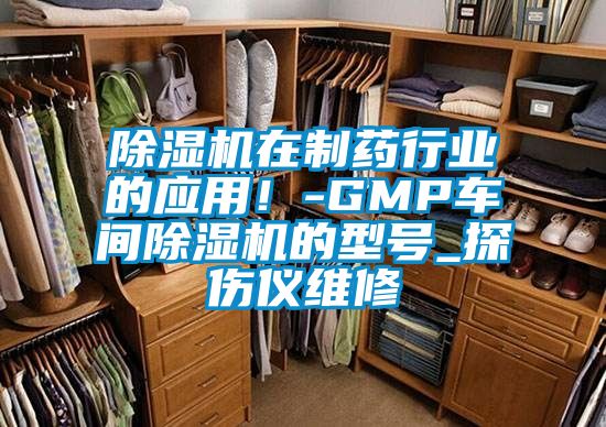 麻豆视频黄网站在制药行业的应用！-GMP车间麻豆视频黄网站的型号_探伤仪维修
