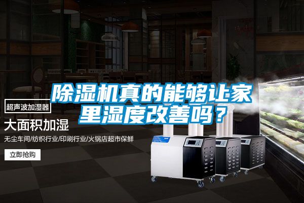 麻豆视频黄网站真的能够让家里湿度改善吗？