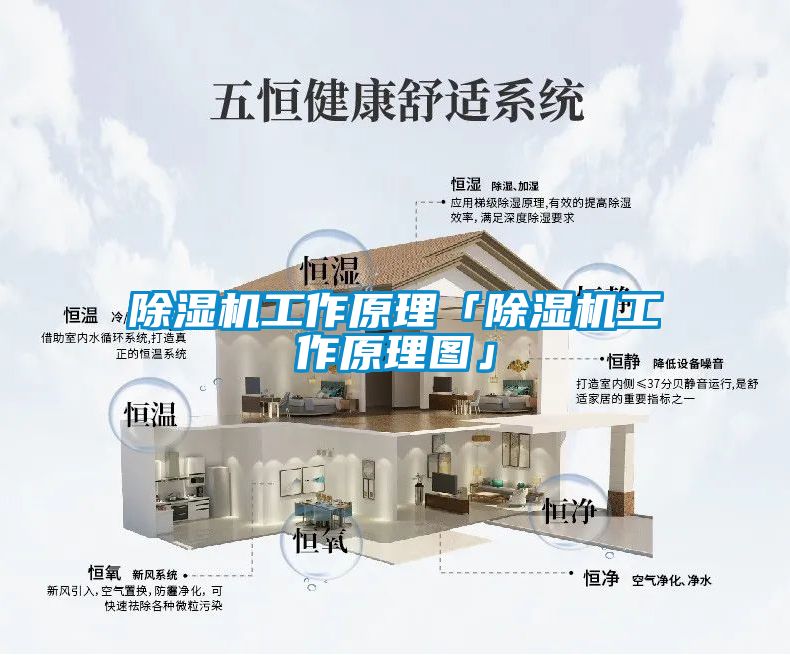 麻豆视频黄网站工作原理「麻豆视频黄网站工作原理图」