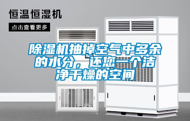 麻豆视频黄网站抽掉空气中多余的水分，还您一个洁净干燥的空间