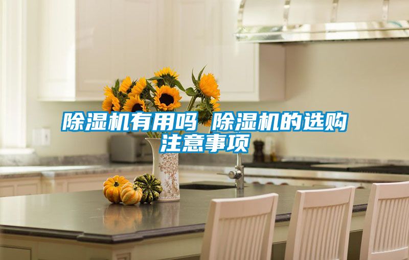 麻豆视频黄网站有用吗 麻豆视频黄网站的选购注意事项