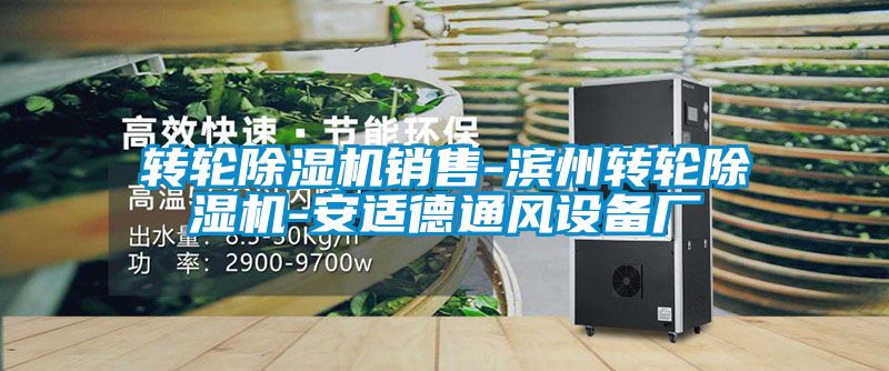 转轮麻豆视频黄网站销售-滨州转轮麻豆视频黄网站-安适德通风设备厂