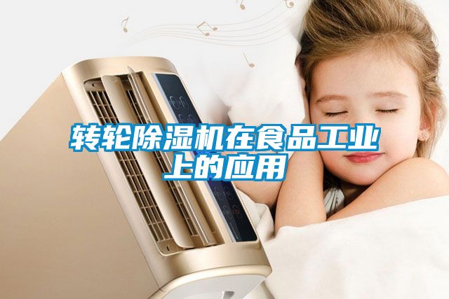 转轮麻豆视频黄网站在食品工业上的应用
