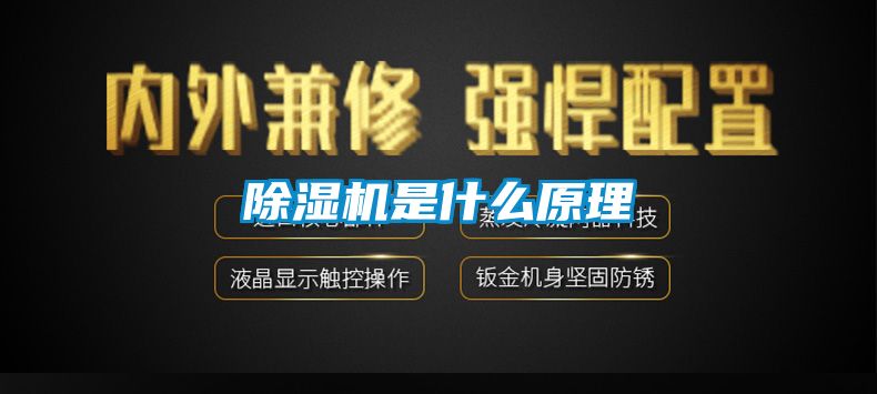 麻豆视频黄网站是什么原理