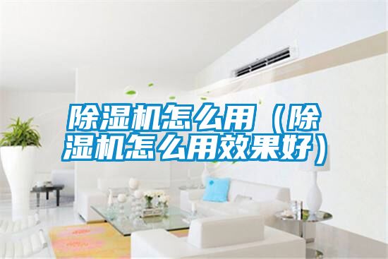 麻豆视频黄网站怎么用（麻豆视频黄网站怎么用效果好）