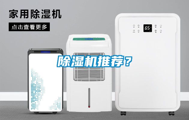 麻豆视频黄网站推荐？