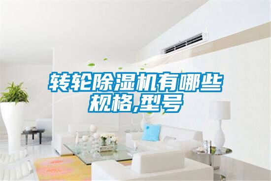 转轮麻豆视频黄网站有哪些规格,型号