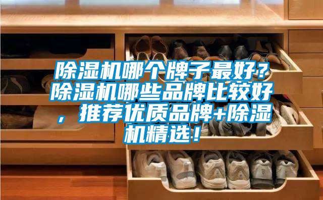 麻豆视频黄网站哪个牌子最好？麻豆视频黄网站哪些品牌比较好，推荐优质品牌+麻豆视频黄网站精选！