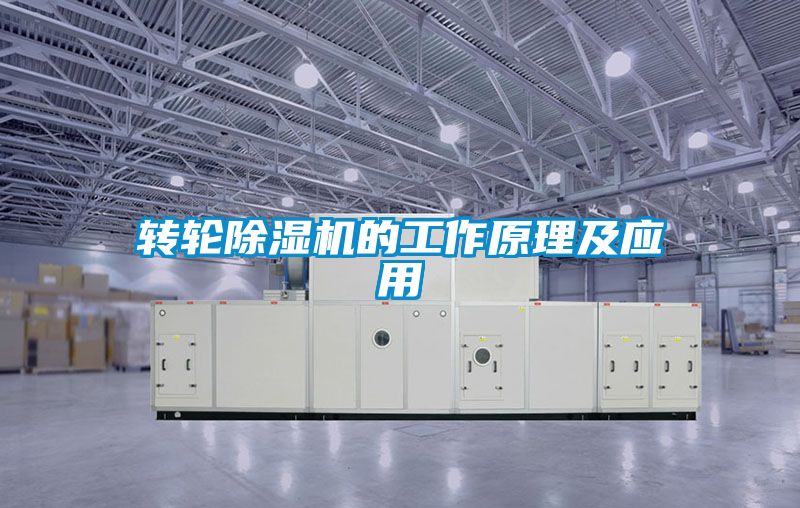 转轮麻豆视频黄网站的工作原理及应用