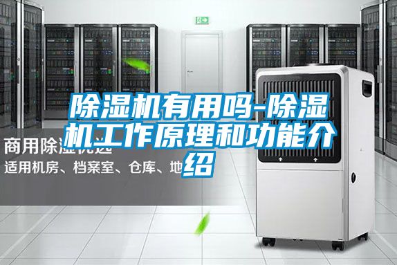 麻豆视频黄网站有用吗-麻豆视频黄网站工作原理和功能介绍