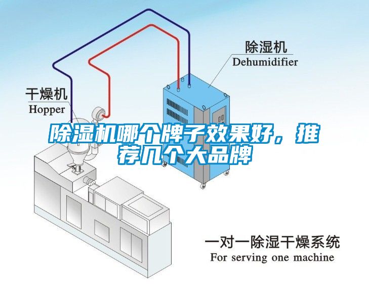 麻豆视频黄网站哪个牌子效果好，推荐几个大品牌