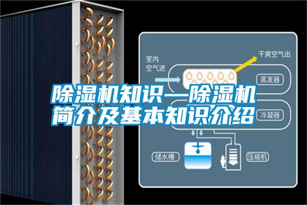 麻豆视频黄网站知识—麻豆视频黄网站简介及基本知识介绍
