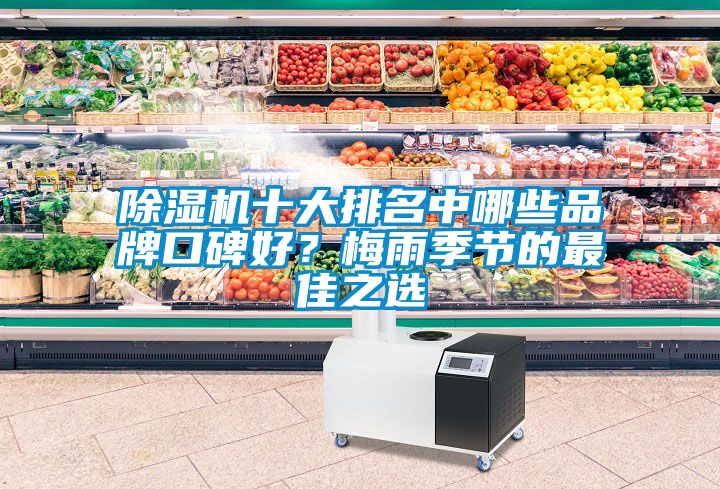 麻豆视频黄网站十大排名中哪些品牌口碑好？梅雨季节的最佳之选