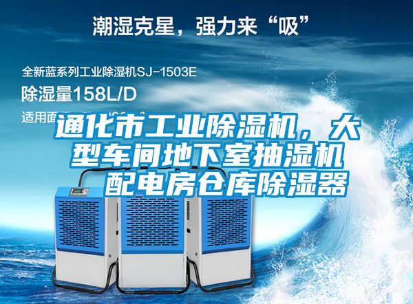 通化市工业麻豆视频黄网站，大型车间地下室抽湿机  配电房仓库除湿器
