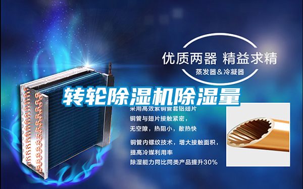 转轮麻豆视频黄网站除湿量