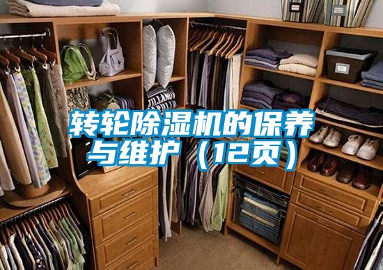 转轮麻豆视频黄网站的保养与维护（12页）