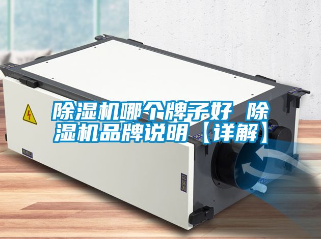 麻豆视频黄网站哪个牌子好 麻豆视频黄网站品牌说明【详解】