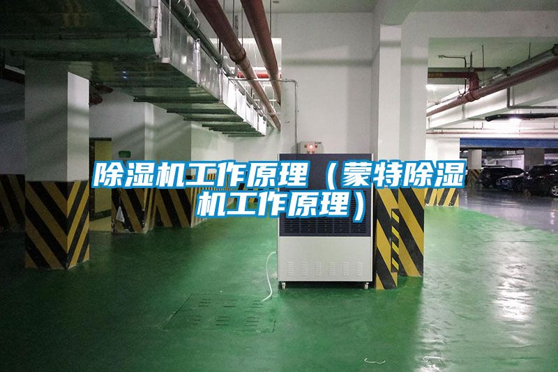 麻豆视频黄网站工作原理（蒙特麻豆视频黄网站工作原理）