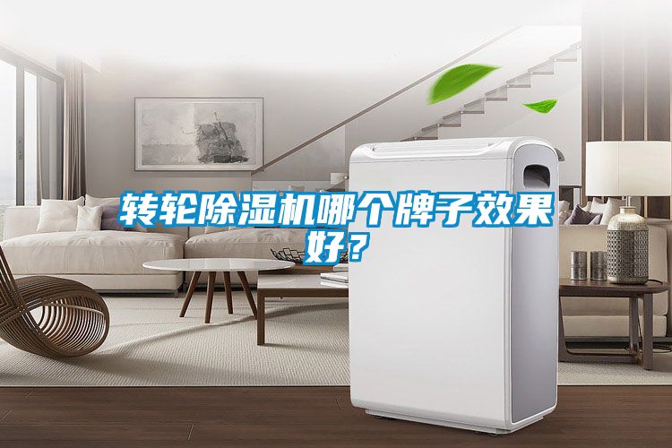 转轮麻豆视频黄网站哪个牌子效果好？