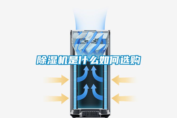 麻豆视频黄网站是什么如何选购