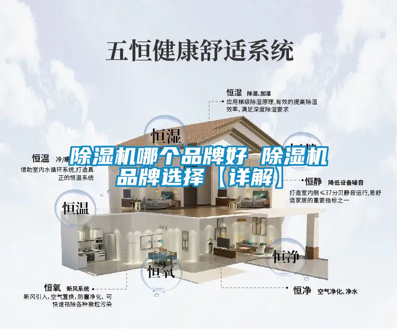 麻豆视频黄网站哪个品牌好 麻豆视频黄网站品牌选择【详解】