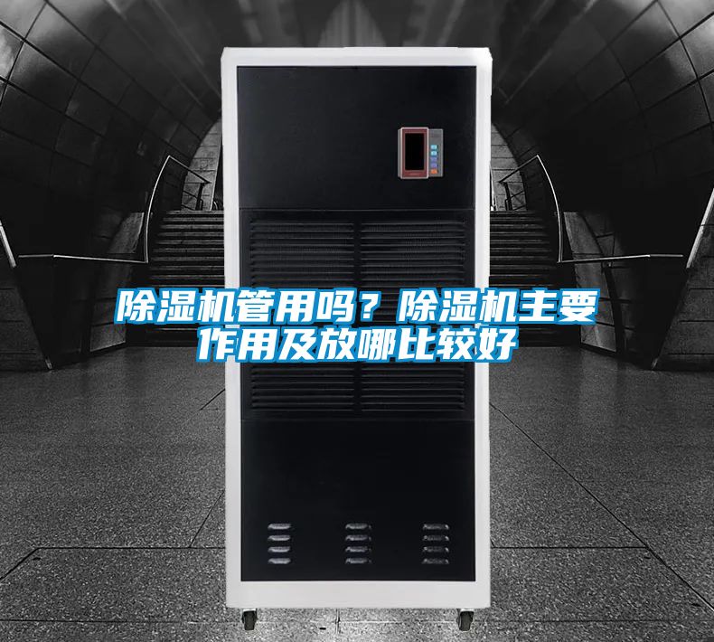 麻豆视频黄网站管用吗？麻豆视频黄网站主要作用及放哪比较好