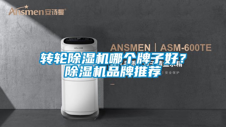 转轮麻豆视频黄网站哪个牌子好？麻豆视频黄网站品牌推荐