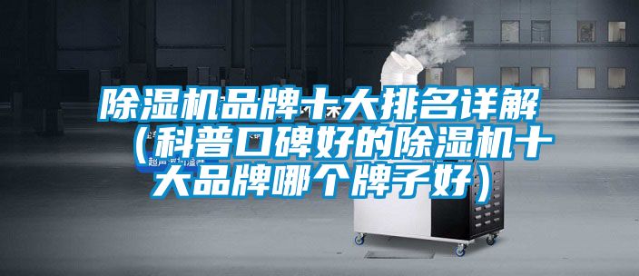 麻豆视频黄网站品牌十大排名详解（科普口碑好的麻豆视频黄网站十大品牌哪个牌子好）