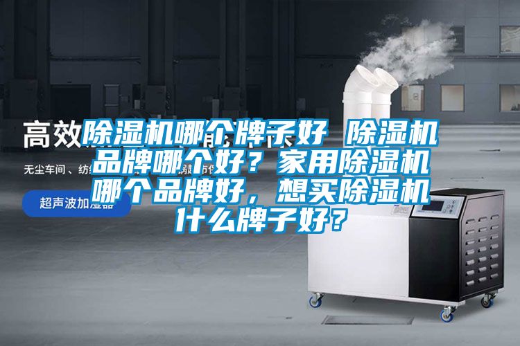 麻豆视频黄网站哪个牌子好 麻豆视频黄网站品牌哪个好？家用麻豆视频黄网站哪个品牌好，想买麻豆视频黄网站什么牌子好？
