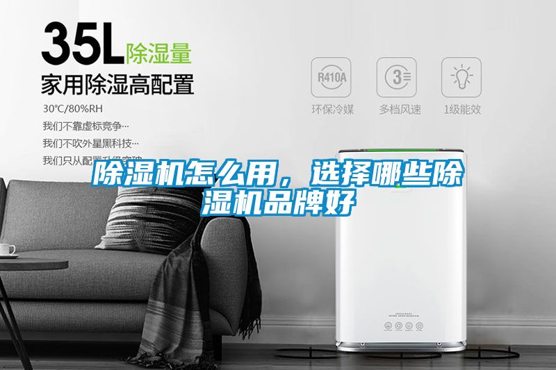 麻豆视频黄网站怎么用，选择哪些麻豆视频黄网站品牌好