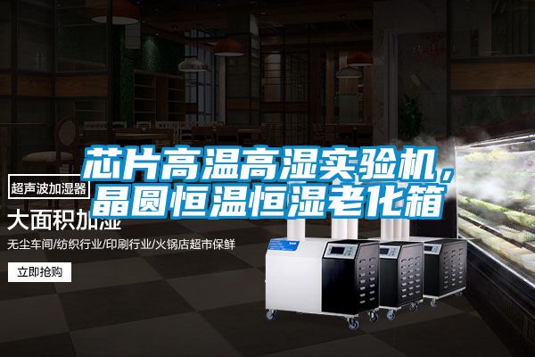 芯片高温高湿实验机，晶圆恒温恒湿老化箱