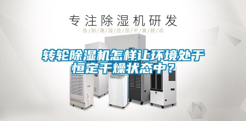 转轮麻豆视频黄网站怎样让环境处于恒定干燥状态中？
