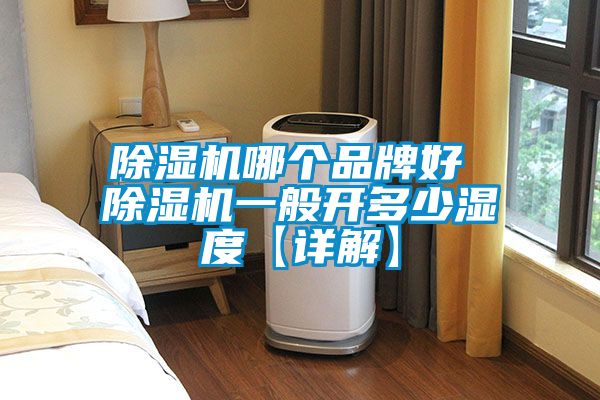 麻豆视频黄网站哪个品牌好 麻豆视频黄网站一般开多少湿度【详解】