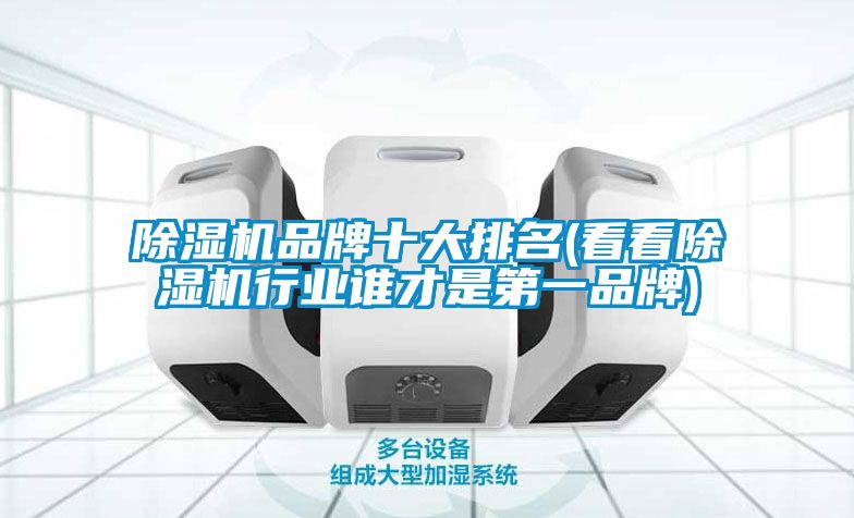 麻豆视频黄网站品牌十大排名(看看麻豆视频黄网站行业谁才是第一品牌)