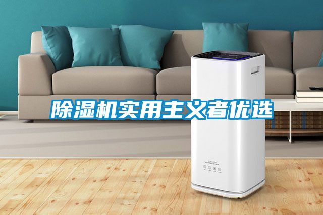 麻豆视频黄网站实用主义者优选