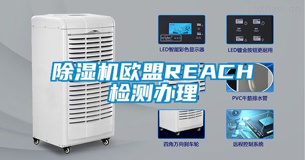 麻豆视频黄网站欧盟REACH检测办理