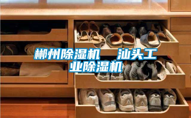 郴州麻豆视频黄网站  汕头工业麻豆视频黄网站