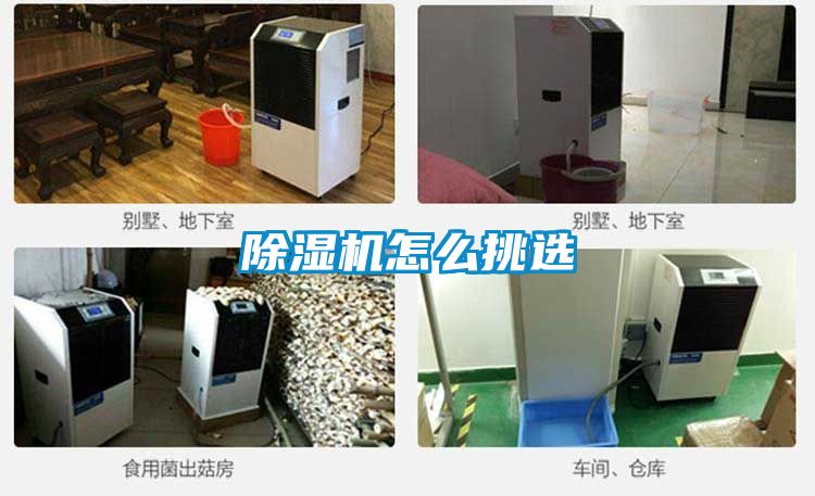 麻豆视频黄网站怎么挑选