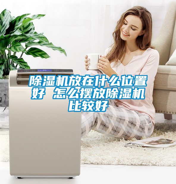 麻豆视频黄网站放在什么位置好 怎么摆放麻豆视频黄网站比较好