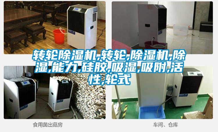 转轮麻豆视频黄网站,转轮,麻豆视频黄网站,除湿,能力,硅胶,吸湿,吸附,活性,轮式