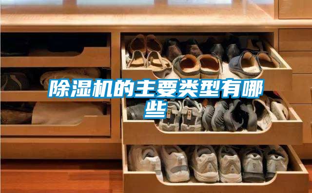 麻豆视频黄网站的主要类型有哪些